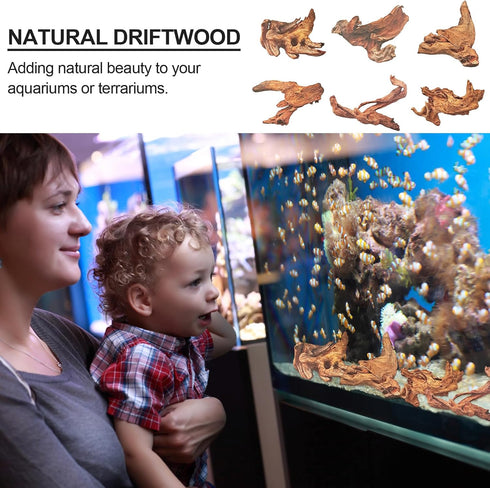 FUNOJOY Assorted Natural Driftwood Decor for Aquarium and Reptile Tank Accessories, 2-10" Wood Branches (Pack of 6)