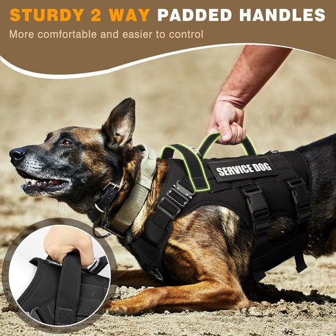 WINSEE Service Dog in Training Vest, Tactical MOLLE Vest for Large Dog, 10 Pet Patches, 2 Handles