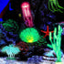 Frienda 8 Pieces Glowing Fish Tank Decorations - Plants with Glowing Kelp, Sea Anemone, Coral, Jellyfish & More