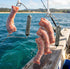 30ft Airfly Blue Crab Throw Line Kit - Cotton Hand Line with Heavy Sinker - Chicken Necking Drop Line for Pier, Dock