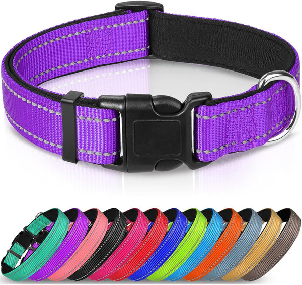 Joytale Reflective Dog Collar - Soft Neoprene Padded Breathable Nylon, Adjustable for Medium Dogs, Purple, M