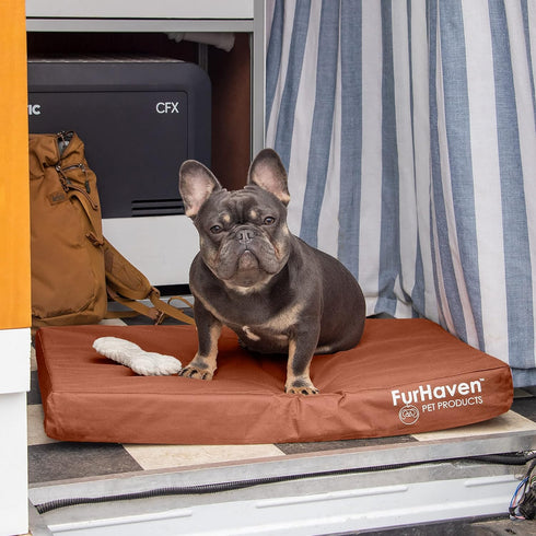 Furhaven Water-Resistant Cooling Gel Dog Bed - Medium/Small Dogs, Removable Washable Cover, Indoor/Outdoor, Chestnut