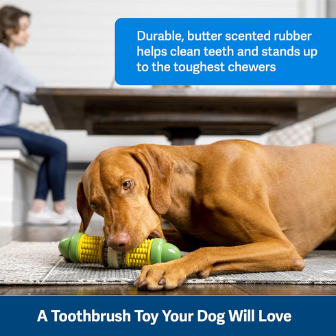 PetSafe Busy Buddy Cravin’ Corncob Dog Toy - Treat Ring Holding Chew Toy, BPA Free Rubber for Boredom Relief
