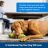 PetSafe Busy Buddy Cravin’ Corncob Dog Toy - Treat Ring Holding Chew Toy, BPA Free Rubber for Boredom Relief