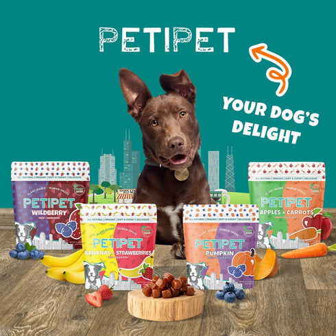 Plant-Based Pumpkin Dog Treats - Healthy Vegetarian, Vegan Treats with Organic Ingredients