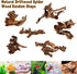 Hamiledyi Natural Trunk Driftwood Assorted Branches 8-12" for Fish Tank Decoration, 3 Pcs