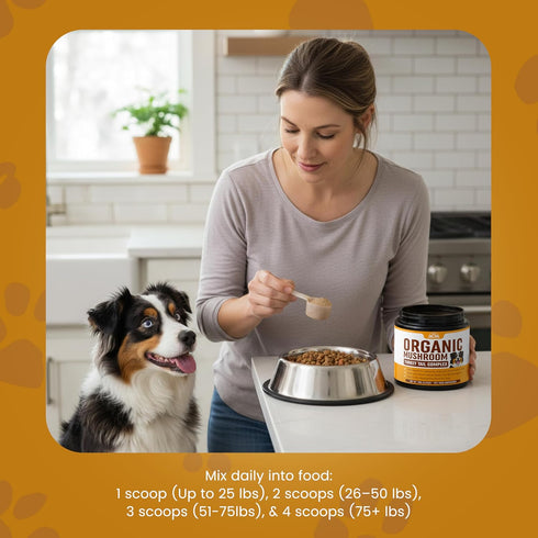 Peak Pets (90g) Immune Mushroom Supplement Powder for Dogs Organic Mushroom Complex with Turkey Tail and Lions Mane