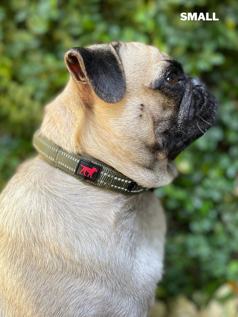 Heavy Duty Dog Collar with Handle | Ballistic Nylon, Padded Reflective Collar with Adjustable Hardware