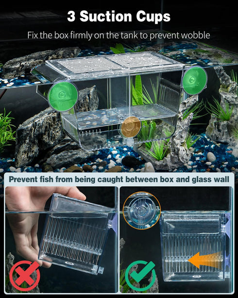 Pawfly Aquarium Fish Breeding Box, Acrylic Hatching Box with 6 Suction Cups for Baby Fish