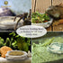 SunGrow Small Hermit Crab Feeding Bowl, Durable Multifunctional Decor for Turtle, Gecko, Ball Python
