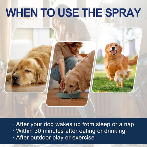 5 oz /150ml Potty Training Spray for Dogs fl Dog Pee Training Aid for Puppies & Adults Dogs Helps Guide Dog to Pee Pads
