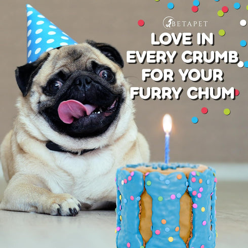 Dog Birthday Cake for Dogs - Rice Cake Based Dessert with Dog Birthday Treats, Human Grade Ingredients - Happy Birthday