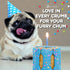 Dog Birthday Cake for Dogs - Rice Cake Based Dessert with Dog Birthday Treats, Human Grade Ingredients - Happy Birthday
