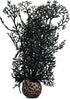 BiOrb 46093.0 Sea Fan Small Black Aquariums