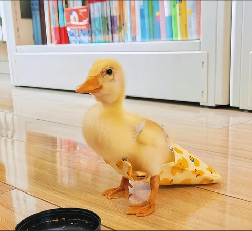 Magnoloran 2 Pack Chicken Diapers for Hens, Roosters, Diapers for Ducks, Ducklings, Reusable Pet Diaper with Bow Ties