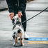 BAAPET 2/4/5/6 FT Dog Leash with Comfortable Padded Handle, Reflective Threads for Small Medium Large Dogs