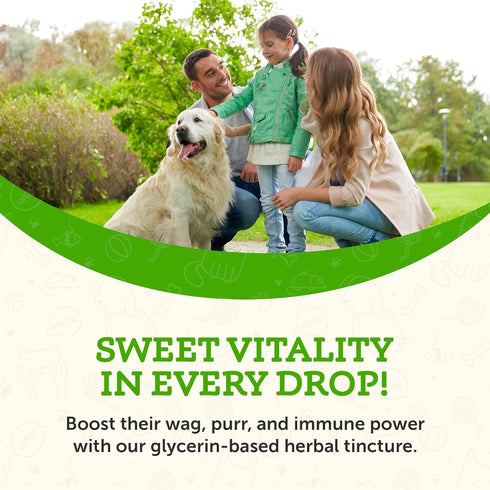 Animal Essentials Super Immune Support for Dogs & Cats, 1 fl oz - Promotes Healthy Immune System