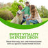 Animal Essentials Super Immune Support for Dogs & Cats, 1 fl oz - Promotes Healthy Immune System