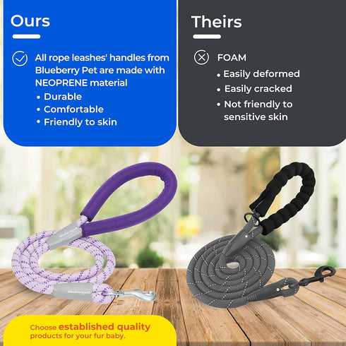 Blueberry Pet Durable Diagonal Striped Collar Leash Training Set with Comfy Neoprene Handle, Lavender, 6 ft, Strong Training Leashes for Dogs
