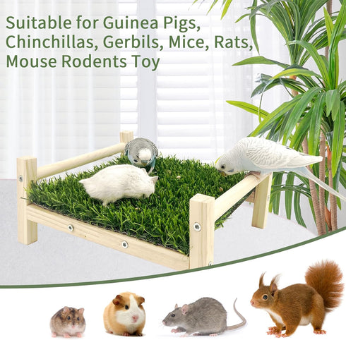 FlidRunest Wooden Rat Foraging Toys, Artificial Grass Foraging Mat for Rats, Safe Rats Enrichment Toys Activities