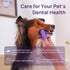 2-Pack HICC PET Dog Toothbrush, Anti-Slip Dog Tooth Brushing Kit, Dog Finger Toothbrush for Plaque and Tartar Cleaning