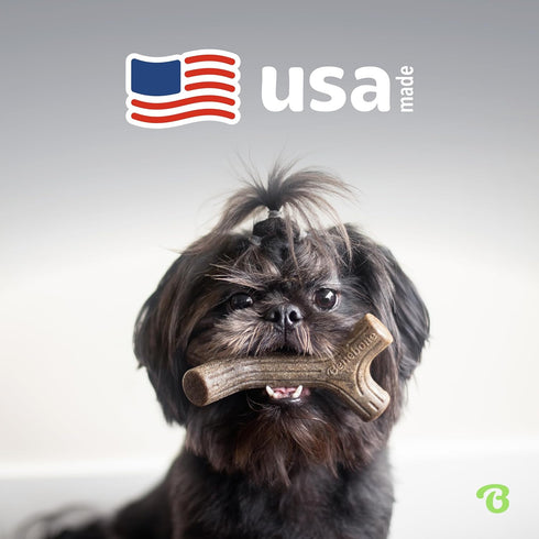 Benebone Small 4-Pack Dog Chew Toys - Made in USA for Aggressive Chewers, 30lbs and Under