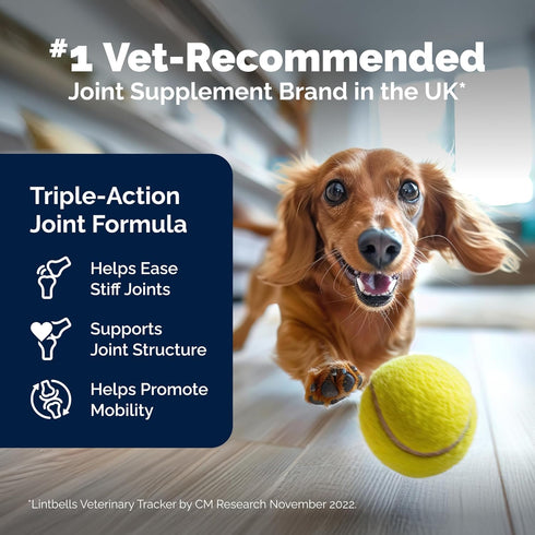 YuMOVE Hip & Joint Supplement for Dogs, Glucosamine, Hyaluronic Acid, 60ct Chewable Tablets