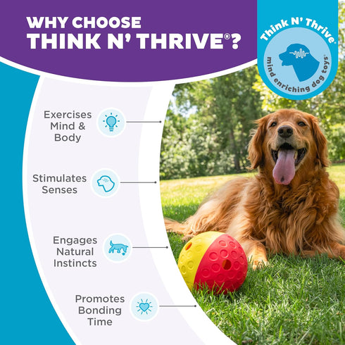 1 5.8" Outward Hound by Nina Ottosson Treat Tumble Interactive Food-Dispensing Dog Puzzle Ball, Level Beginner, Large