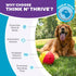 1 5.8" Outward Hound by Nina Ottosson Treat Tumble Interactive Food-Dispensing Dog Puzzle Ball, Level Beginner, Large