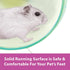 10 Inch Kaytee Silent Spinner Wheel For Pet Syrian or Large Breed Hamsters, Sugar Gliders and Gerbils, Large (Colors
