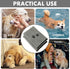2 Pieces Microfiber Pet Bath Towel, Soft Absorbent Drying Towel for Small Medium Large Dogs and Cats (35 x 20 Inch Grey)