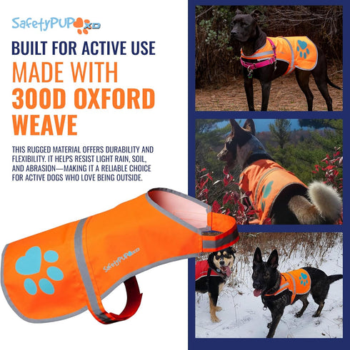 Reflective Dog Vest, Hi-Visibility Fluorescent Blaze Orange Vest to Protect Your Dog from Motorists & Hunting Accidents