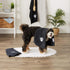 Bone Dry Pet Grooming Towel Collection, Embroidered Absorbent Microfiber Drying Set, 15x30, Black, 3 Count