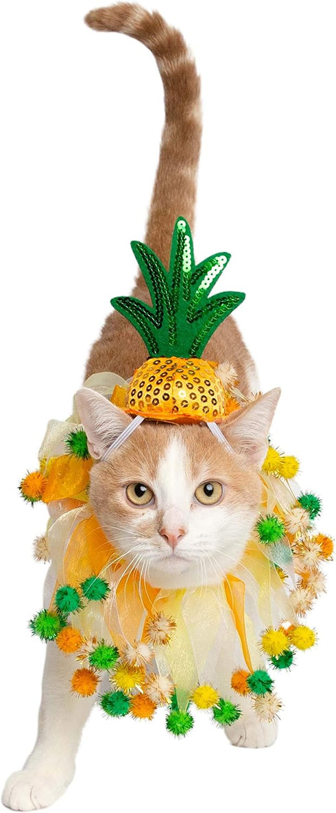 Pet Krewe Pineapple Hat and Collar, Fits Small, Medium, Large, Extra Large Dogs - Perfect for Halloween, Parties, Gifts