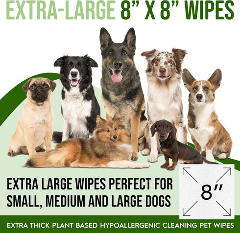 Dog Wipes for Paws, Butt, Ears, Eyes - Organic Hypoallergenic Lavender Scented Wipes, 100 Count