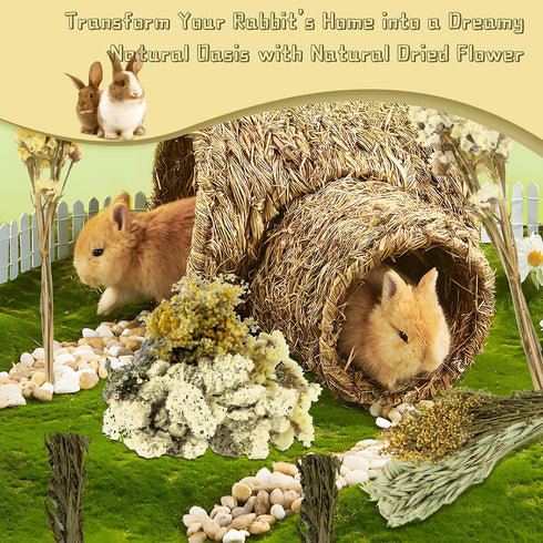 47Pcs Sukh Natural Hamster Bedding - Flower Herb Sprays Enclosure Decor & Hideout Enriching Habitat Decor, Ideal