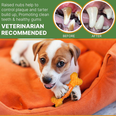 SPOT Bam-Bones Dental Bone, Made with Bamboo Fiber, Durable Oral Care Chew for Light Chewers & Teething Puppies