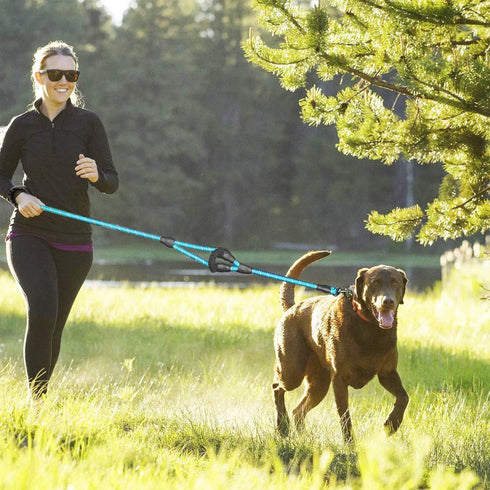 Dog Leash, 5 FT Heavy Duty Double Handle with Comfortable Padded and Reflective for All Dog Sizes (Rope-Blue)