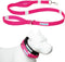 Shed Defender Mag-Snap Dog Leash - 5 ft, Pink - Wearable Magnetic Leash with Two Padded Traffic Handles, Heavy Duty