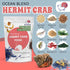 Pack Summer Sunset Snout and Shell Hermit Crab Food Variety Blue Waves, Protein Mix & High-Protein Whole Food Diet