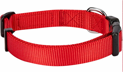 Blueberry Pet Essentials Matching Dog Collar and Double Handle Leash Set in Rouge Red, Adjustable Classic Solid Color Nylon Collar with 5 ft Leash for X-Small Dogs
