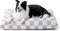 Lesure Large Dog Bed - Thick Shredded Chopped Foam Pet Bed, Indoor with Removable Cover, 36'x27', Purple