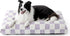 Lesure Large Dog Bed - Thick Shredded Chopped Foam Pet Bed, Indoor with Removable Cover, 36'x27', Purple