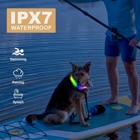 LED Pet Collars, USB Rechargeable Light Up Dog Collars, Waterproof and Adjustable for Small Medium Large Dogs, Night
