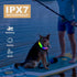 LED Pet Collars, USB Rechargeable Light Up Dog Collars, Waterproof and Adjustable for Small Medium Large Dogs, Night