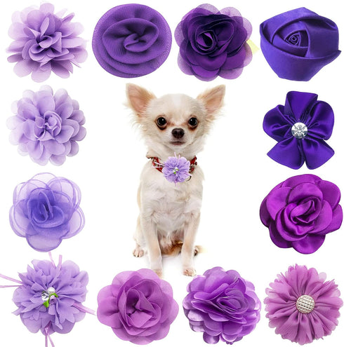 PET SHOW 12pcs Dog Collar Bows and Flowers for Girls Puppies Cats, Embellishment Decor for Small Medium Dogs
