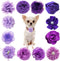 PET SHOW 12pcs Dog Collar Bows and Flowers for Girls Puppies Cats, Embellishment Decor for Small Medium Dogs