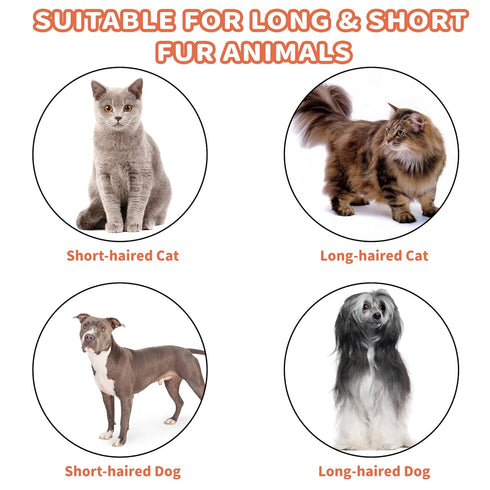 3 in 1 Steam Cat Hair Brush - Spray, Massage, Bath Cleaning for Dogs and Cats, Soft Silicone Brush, Self-Cleaning