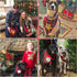 PAWCHIE 2 PCS Christmas Dog Bandanas with Handmade Applique (Santa Claus & Elk), Washable Plaid Scarfs