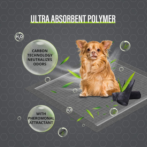 (100 Count, 22x22 inch),Gray COCOYO Dog Training Pads Carbon Absorb Eliminating Urine Odor Doggie Training Pads Premium